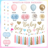 Boho Gender Reveal Party Set, Pink Blue Balloons, Moon Star Garland, Tassels Lanterns