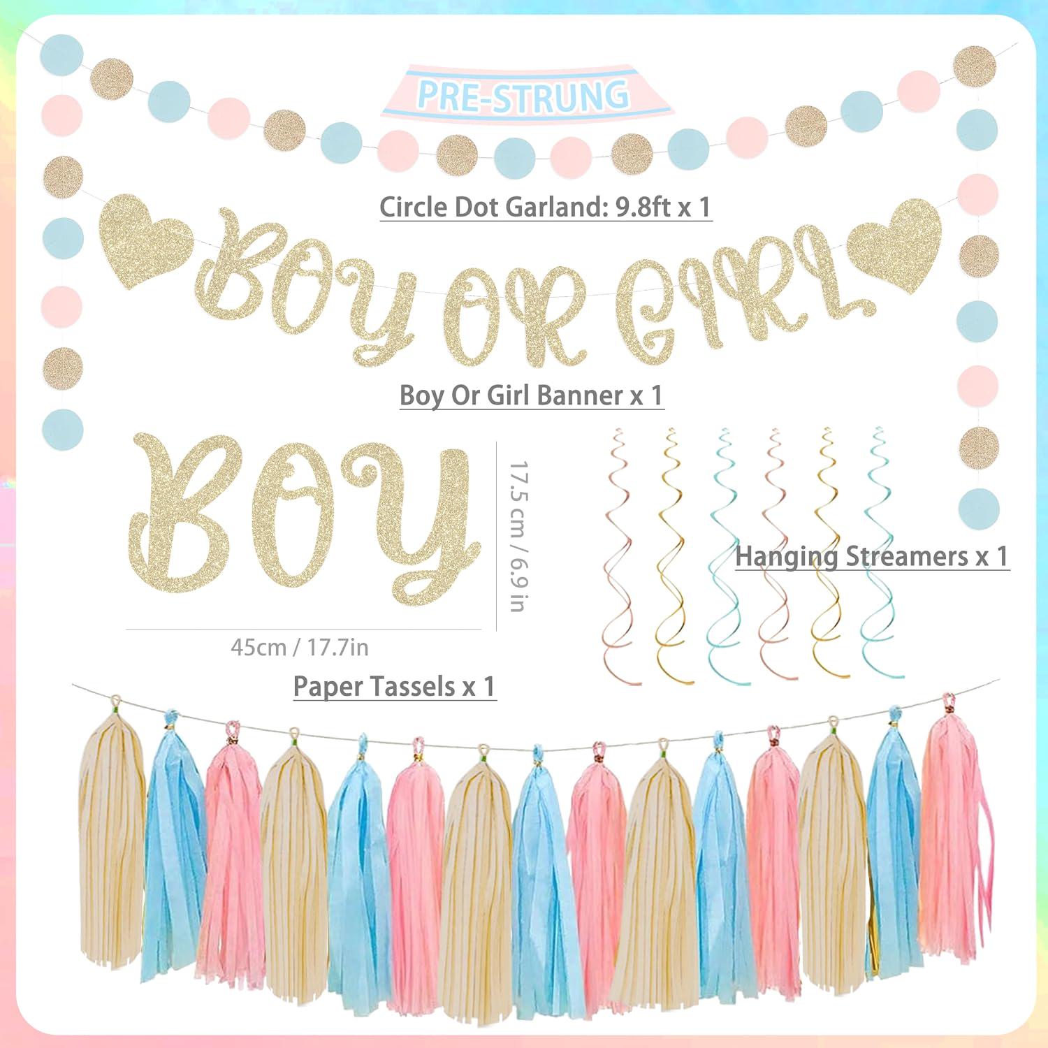 Boho Gender Reveal Party Set, Pink Blue Champagne Baby Shower Decorations