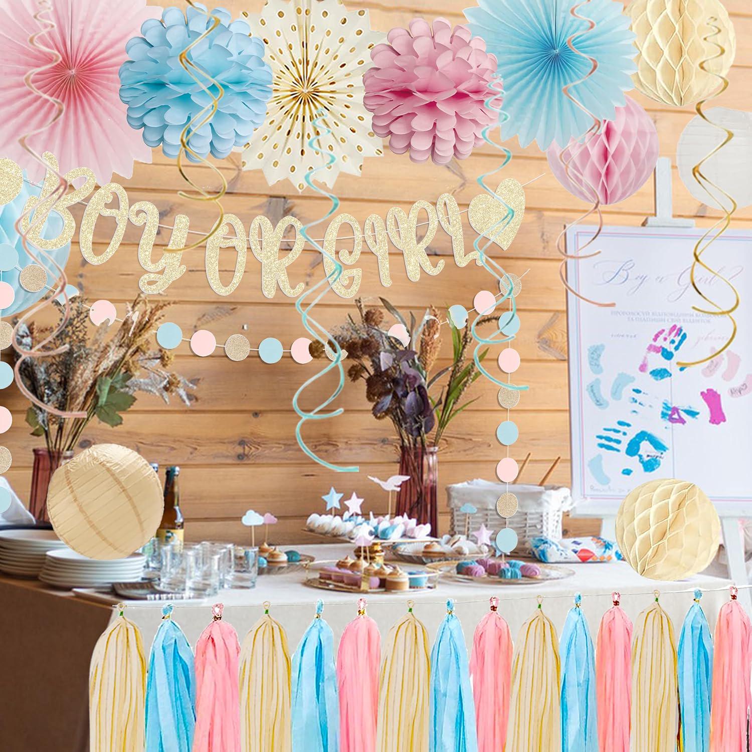 Boho Gender Reveal Party Set, Pink Blue Champagne Baby Shower Decorations