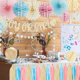 Boho Gender Reveal Party Set, Pink Blue Champagne Baby Shower Decorations