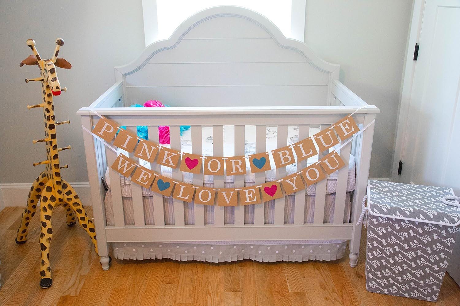 Pink or Blue Gender Reveal Banner, Baby Shower Party Decor (5ft)