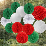 Mexican Independence Day Paper Decorations, Red Green White Festive Kit (14PCS)