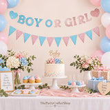 Glitter Boy or Girl Gender Reveal Banner, Pre-Strung Baby Shower Decor