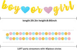 Gender Reveal Party Set, Blue Pink Gold Pom Poms, Tassels, Banner, Streamers (23pc)