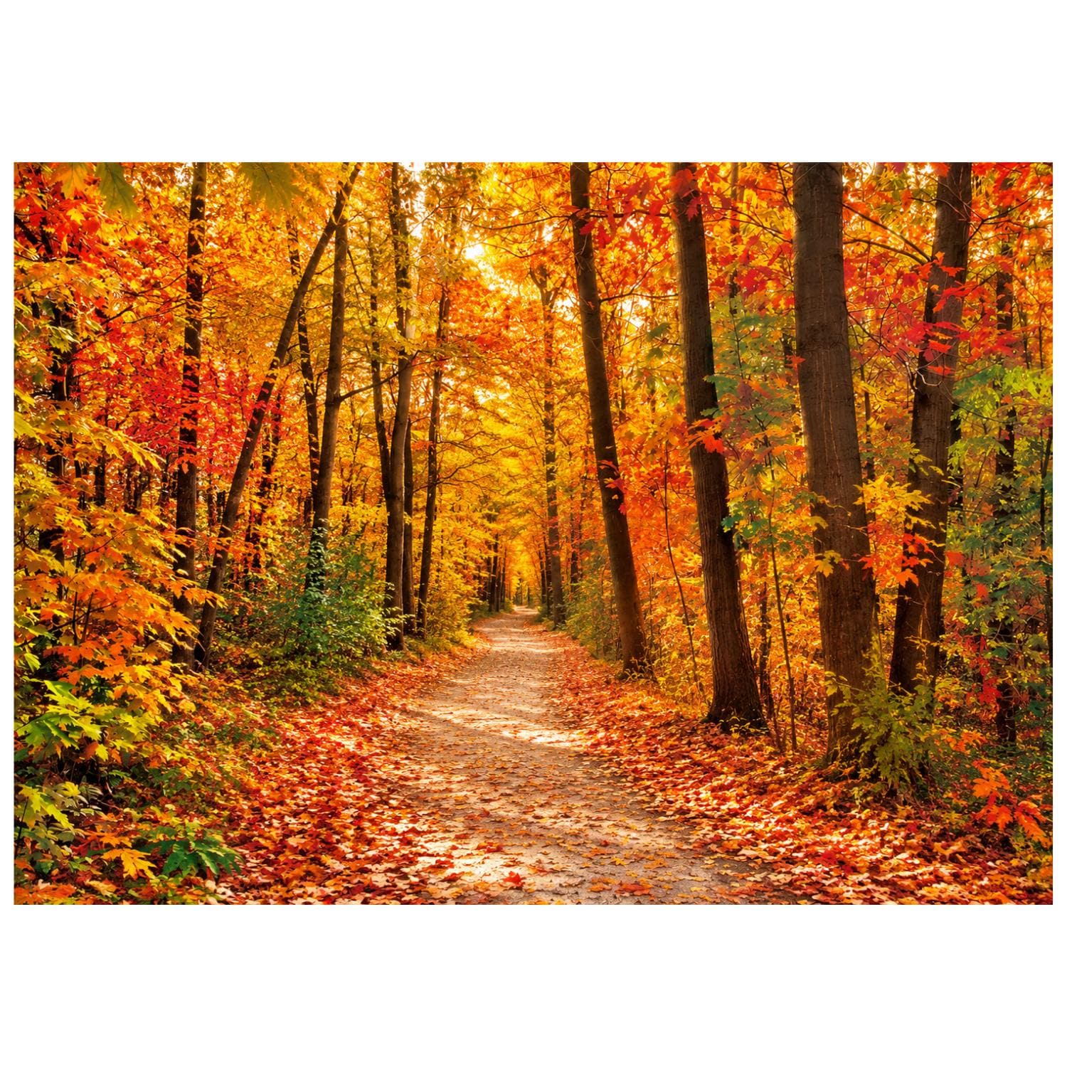 Autumn Forest Backdrop, 7x5FT Maple Leaf Mountain Road, Fall Harvest Party Decor (Vinyl)