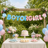 Pink Blue Gender Reveal Banner, Baby Shower Photo Backdrop (Boy or Girl)