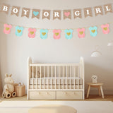 Boy or Girl Gender Reveal Banner Set, Blue Pink Baby Shower Decor (2pc)