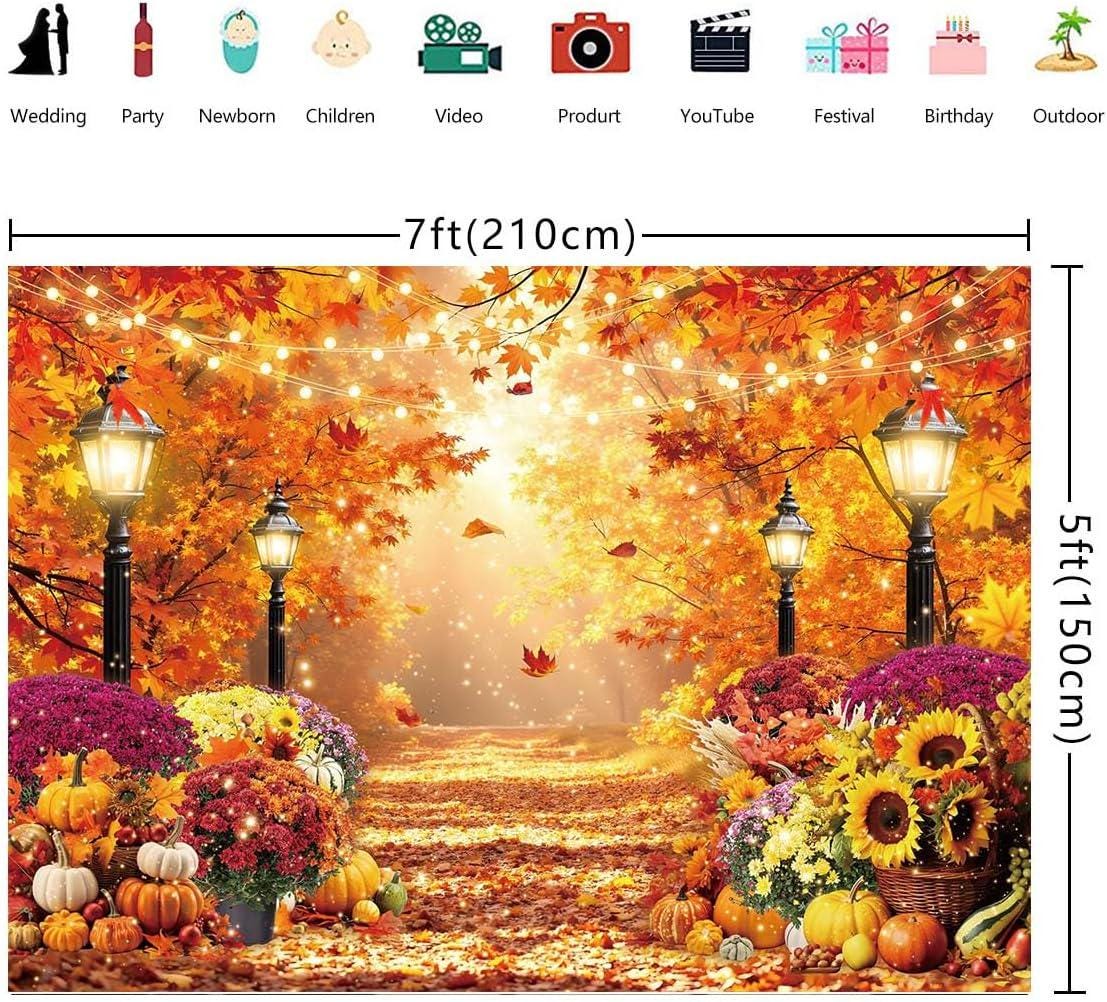 7x5FT Fall Forest Backdrop, Golden Harvest Garden Path Photography Background (Digital Print)