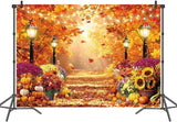 7x5FT Fall Forest Backdrop, Golden Harvest Garden Path Photography Background (Digital Print)