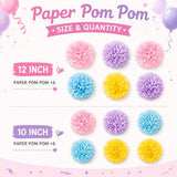 Colorful Tissue Paper Pom Poms, 10-12 Inch Paper Flowers, Party Hanging Decorations