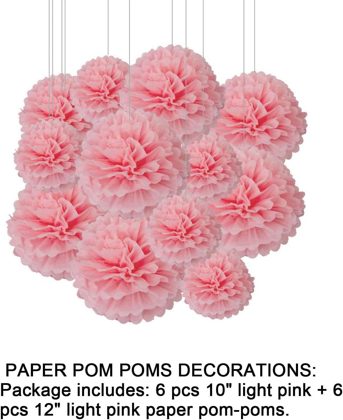 Light Pink Tissue Pom Poms, 12PCS Paper Flower Balls Hanging Decoration (10-12 Inch)