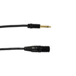 Audio2000'S E05112P2 12Ft 1/4" Ts To Xlr 3-Pin Male Cable (2 Pack)