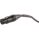 Livewire Advantage XLR Microphone Cable 3 ft. Black