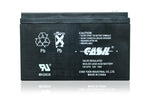 Ca1270 12V 7Ah Sla Alarm Replacement Battery