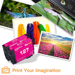 2 Pack 127 Magenta Ink Cartridge Replacement For Epson 127 T127 Use For Epson Workforce 60 435 520 545 645 840 845 Wf 3520 Wf 3540 Wf 7010 Wf 7510 Wf 7520 Print